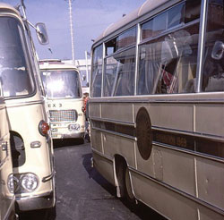 Buses on the Comex trip