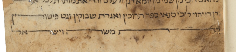 detail from MS T-S 13J6.28