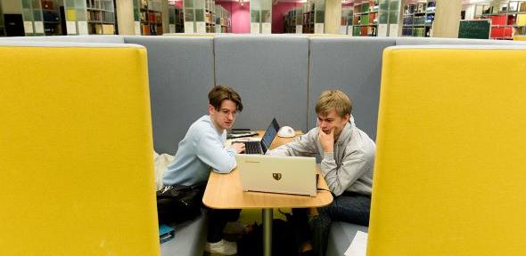 Two people concentrating on a laptop screen in a library