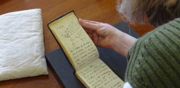 Charles Darwin notebooks